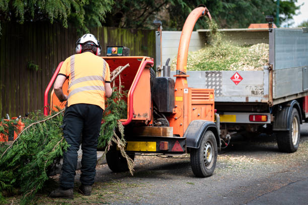 Best Lawn Watering Services  in Bassett, VA