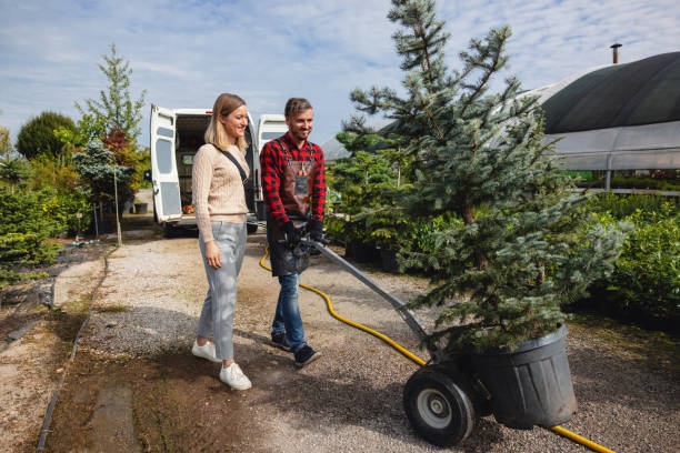 Lawn Watering Services in Bassett, VA